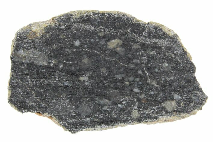 Polished Lunar Meteorite ( g) Section - NWA #360246